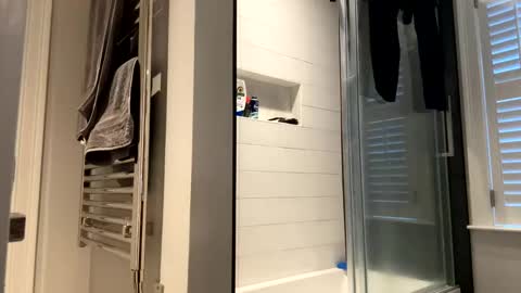 benz10001 online show from March 25, 11:28 am