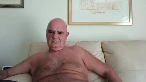 betta1 online show from September 16, 11:45 am