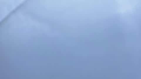 Betty online show from November 6, 1:58 pm