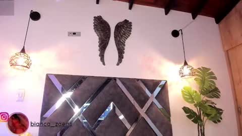  B I A N C A  online show from February 4, 11:58 am