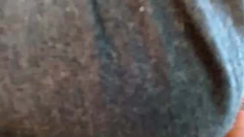 Ryan online show from December 2, 3:21 pm