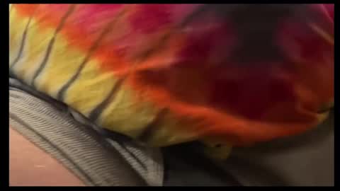 big_teddy_bear76 online show from October 3, 2:43 am
