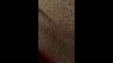 Lolipopped online show from January 10, 11:50 pm