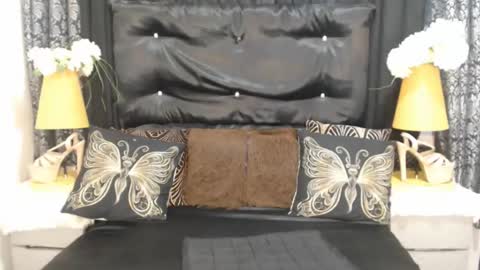 HOLLY online show from August 7, 11:19 am