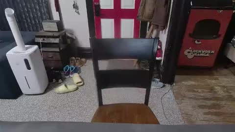 Darryl online show from January 13, 1:46 am