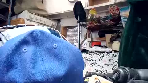 bigmanaround9 online show from October 25, 11:31 am