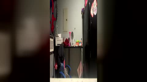 Plant Base Streamers From Pennsylvania online show from June 20, 2:18 am