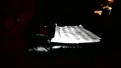 daniel online show from April 8, 8:45 pm