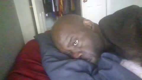 blackteddybear online show from January 19, 3:11 pm