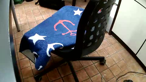 bluewolf80 online show from February 25, 3:04 pm