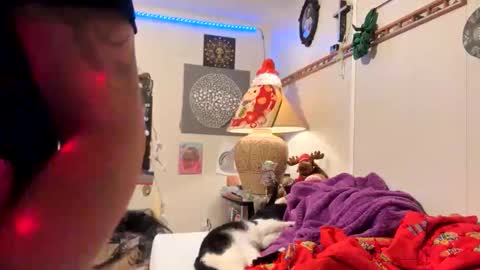 bobbyq2969 online show from November 18, 7:11 am