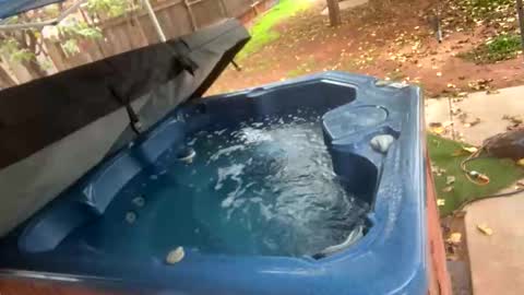 bobbyq2969 online show from November 22, 6:39 pm