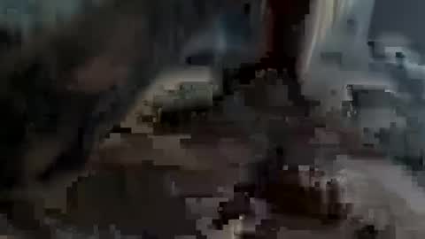 bobdillon401 online show from February 22, 5:24 pm