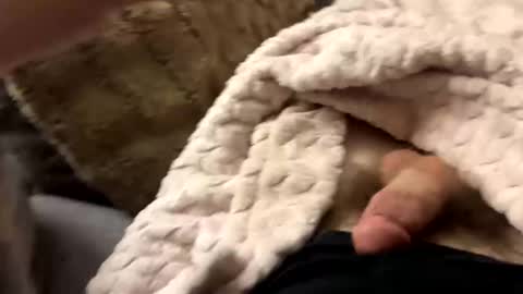 bobdillon401 online show from January 10, 6:20 am