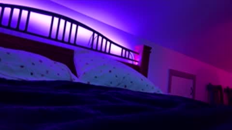 bodiddly64 online show from November 26, 8:33 am