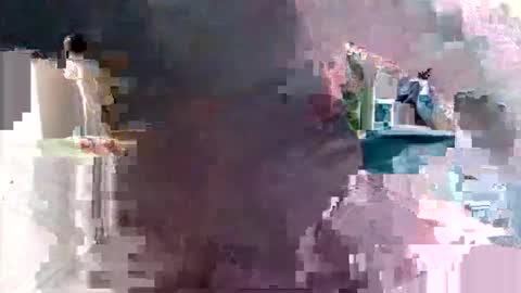 bolbil1 online show from January 12, 6:28 am