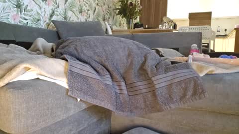 DeeDeeAndDexter online show from March 1, 12:07 am