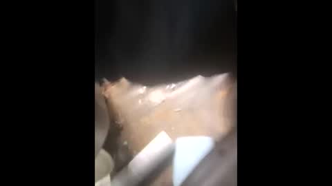 bombinshaman online show from December 2, 5:33 pm