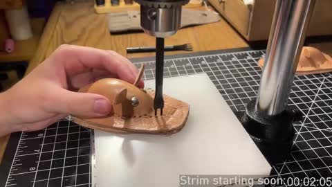 Booker Baxton online show from February 21, 4:07 am