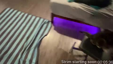 Booker Baxton online show from February 25, 4:05 am