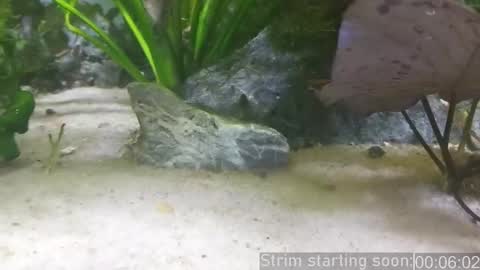 Booker Baxton online show from March 12, 3:02 am