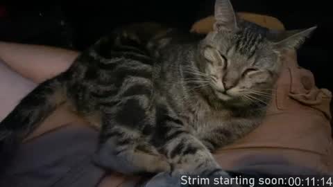 Booker Baxton online show from April 14, 2:59 am