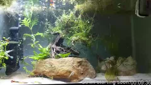 Booker Baxton online show from March 25, 3:02 am