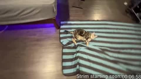 Booker Baxton online show from September 24, 3:02 am