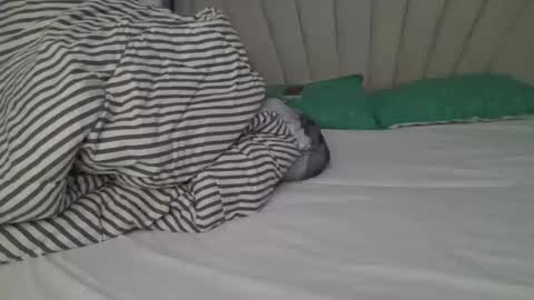 pretty online show from March 15, 3:11 am