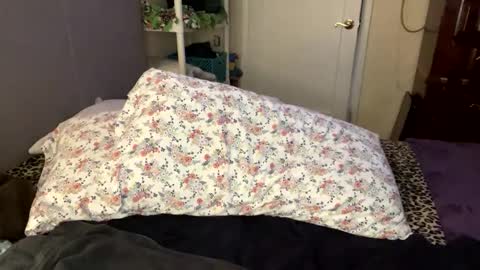 BossMom online show from February 21, 5:42 pm