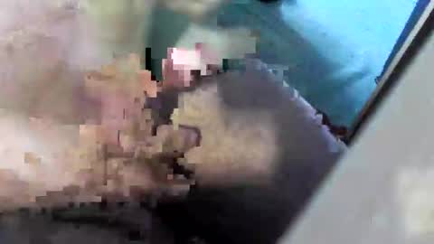 bossram160 online show from September 26, 9:28 am