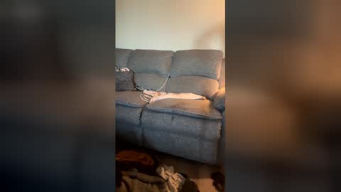 bottombuttbum online show from May 10, 11:38 am