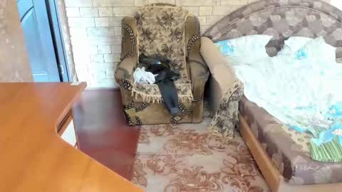 BoyApollon online show from March 10, 11:23 am