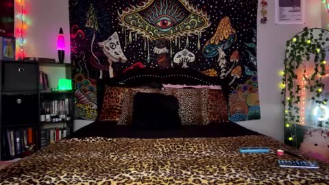 Puddin online show from December 16, 6:53 am