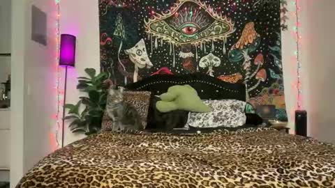 Puddin online show from February 12, 6:28 am