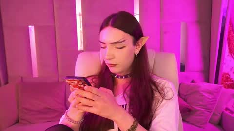 Nova online show from November 7, 12:57 am