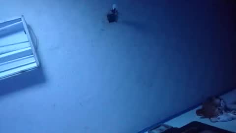 bpmdkyzkjndo online show from November 10, 8:17 am