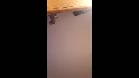 brandon281997 online show from April 1, 12:06 pm