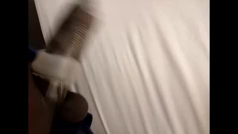 bricchicago online show from February 27, 7:08 am