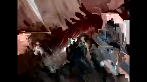 bricchicago online show from February 22, 3:45 am