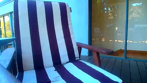 Fun Monster online show from February 20, 6:19 am