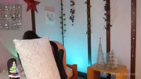 Brie  Ill be away November 2829 and 30. See u on Sunday for more fun online show from December 21, 3:07 pm