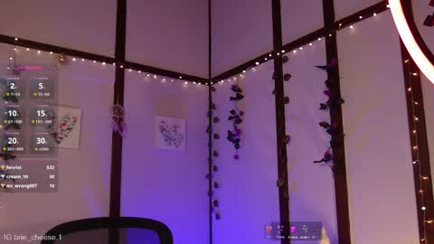 Snapshot of brie_cheese1 chatting on February 12, 8:07 pm Brie Ill be away November 2829 and 30. See u on Sunday for more fun online show from February 12, 8:07 pm