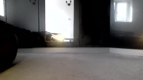 Brown Cros dresser Sissy online show from April 5, 12:02 pm