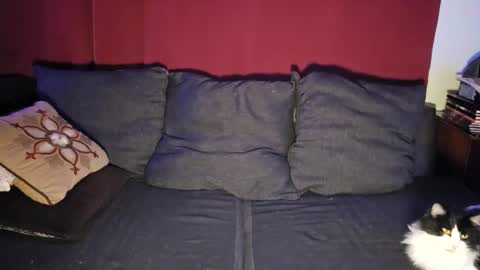 brownboyt online show from December 16, 3:46 am