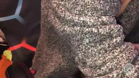 Bruce online show from February 23, 10:12 pm