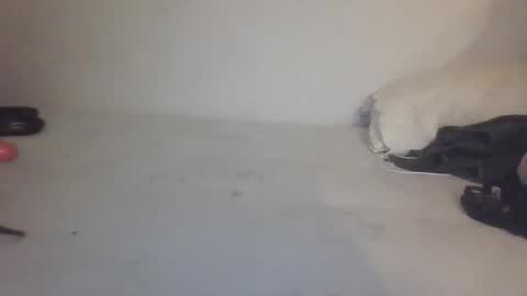 bttmsletje66 online show from January 31, 11:57 pm