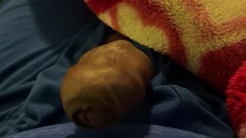 bullblack7 online show from April 25, 4:47 am