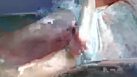 Bunny  Miss me Online every day here -  online show from November 24, 10:52 pm