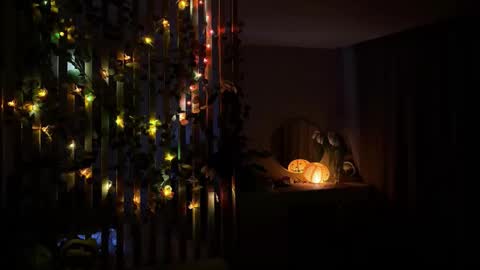 bunnypure online show from January 15, 10:57 am